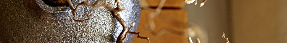 Offerte & Highlights