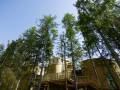Naturhotel Waldklause in Tirol im Sommer.