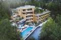 Naturhotel Waldklause with pool (bird's eye view)