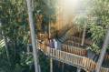 Outdoor area with wooden staircase