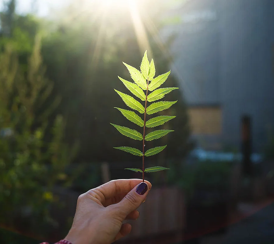 Unser Versprechen: Nachhaltigkeit